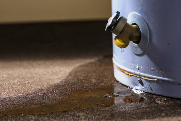 Best Water damage restoration process  in Commerce, GA