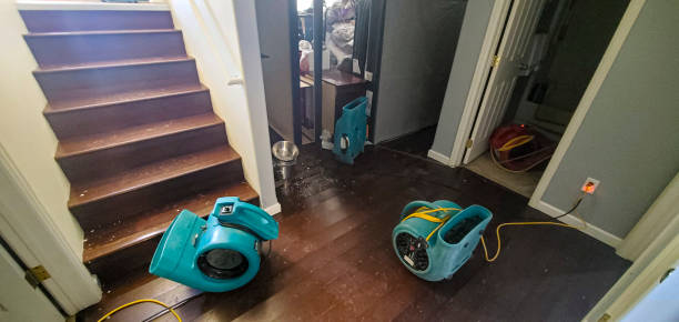 Best Water damage restoration near me  in Commerce, GA
