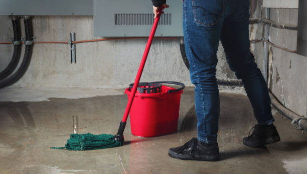 Best Residential water damage restoration  in Commerce, GA