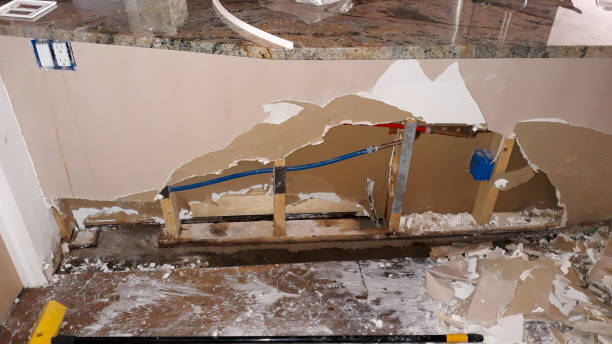 Best Water damage cleanup near me  in Commerce, GA