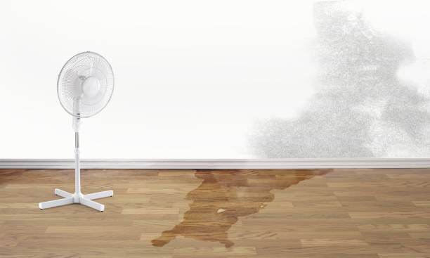 Best Local water damage restoration  in Commerce, GA