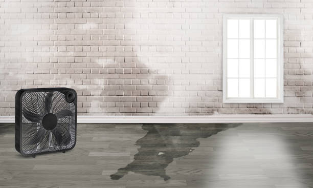 Best Fire Damage Restoration  in Commerce, GA