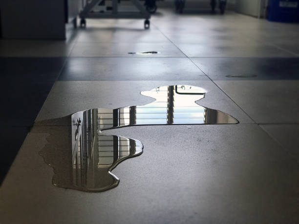 Best 24-hour water damage restoration  in Commerce, GA