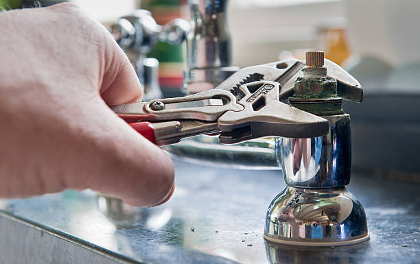 Best Mold removal after water damage  in Commerce, GA