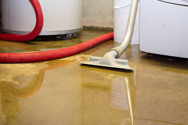 Best Flood damage cleanup  in Commerce, GA