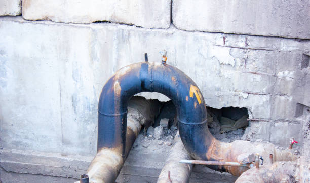 Best Professional water damage repair  in Commerce, GA