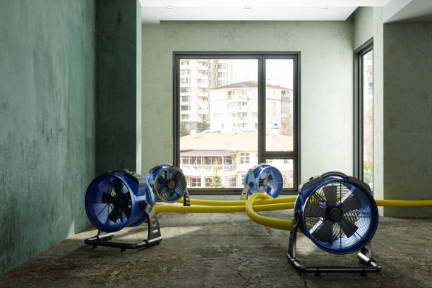 Best Water damage contractors near me  in Commerce, GA